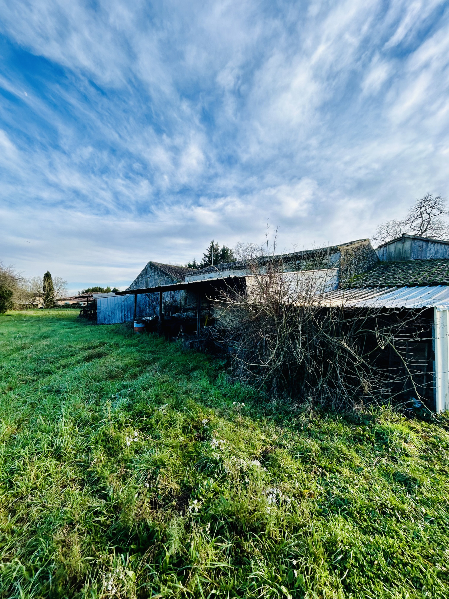 Commerce à vendre à Mouliets et villemartin, 331 m², 3 pièces – photo 2 sur 9